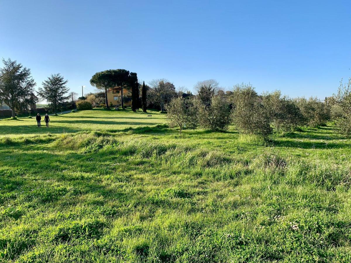 Il Casale Di Gardenia Bed and Breakfast Cesano Εξωτερικό φωτογραφία