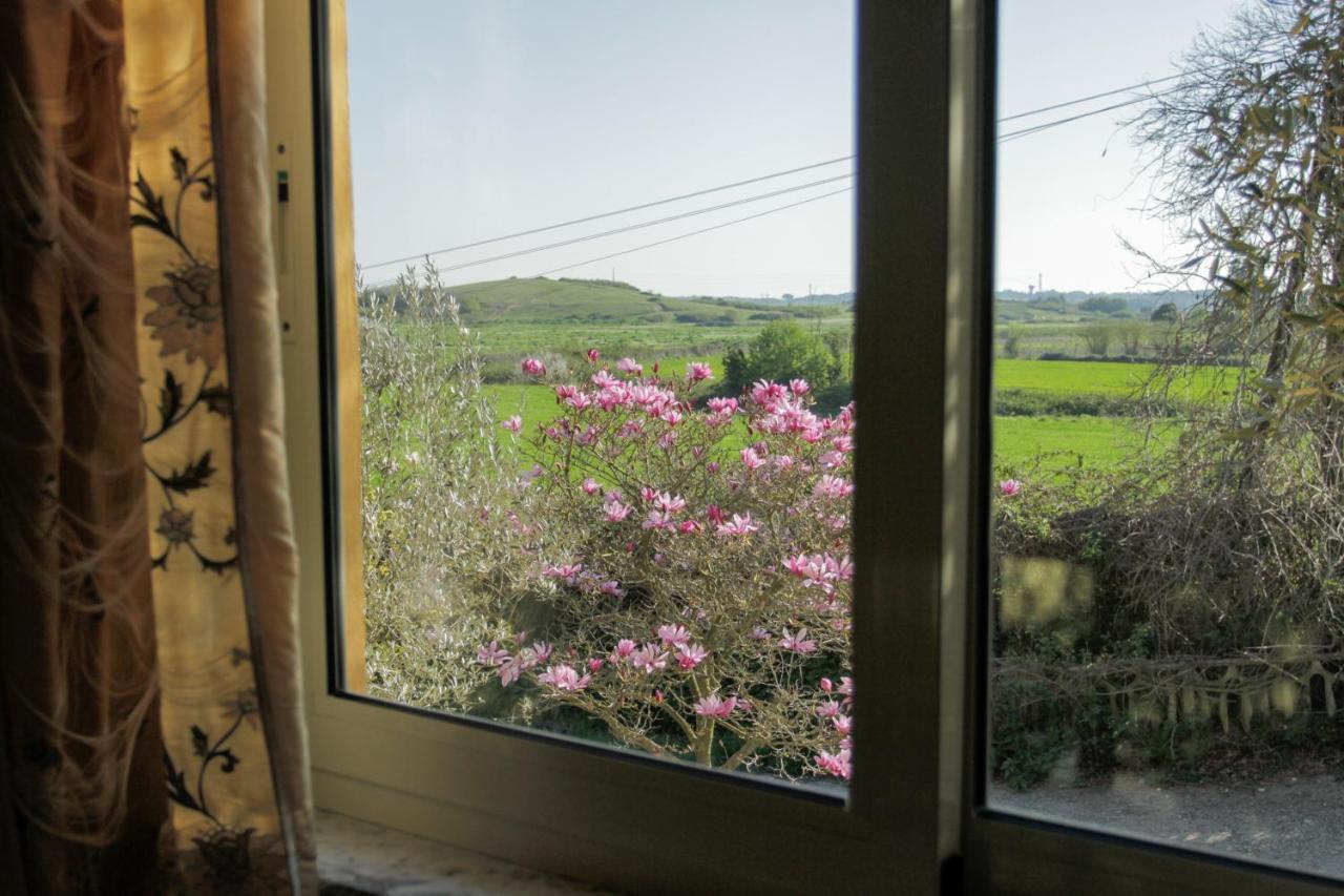 Il Casale Di Gardenia Bed and Breakfast Cesano Εξωτερικό φωτογραφία